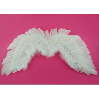 Ангелски крила - 75х45см