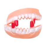 Парти аксесоар - горна и долна част криви зъби