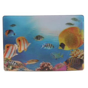 Магнитна пластинка с холограмни изображения - хотели в Ривиера - Златни пясъци и цветни рибки