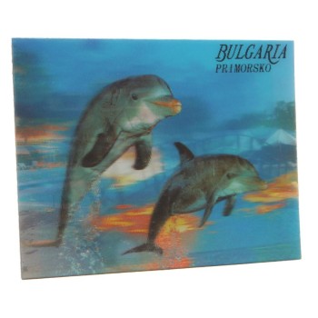 Магнитна пластинка с холограмни изображения - хотел в Приморско и два делфина
