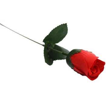 Декоративно цвете - роза с аромат
