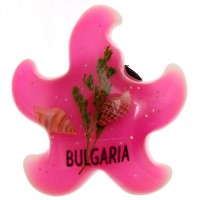 Магнитна фигурка - морска звезда с рапанчета и водорасли във вътрешността