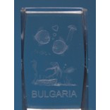 Безцветен стъклен куб с триизмерно гравирани - морски обитатели и надпис България