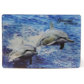 Магнитна пластинка с холограмни изображения - Капитанска среща - Несебър и два делфина Магнитна пластинка с холограмни изображения - Капитанска среща - Несебър и два делфина