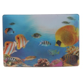 Магнитна пластинка с холограмни изображения - хотели в Ривиера - Златни пясъци и цветни рибки